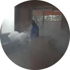 Best pest control services in coimbatore